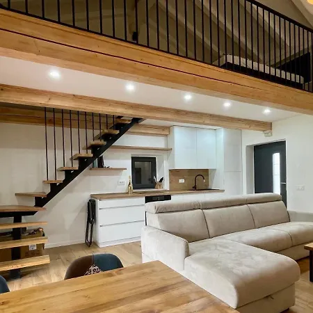 Villa Ondina - Private Pool Brtonigla